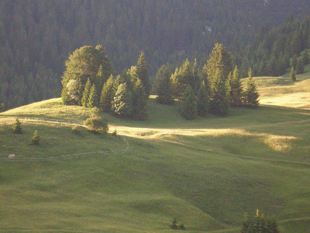 Alpenhof "Alt Laehn" Hotel ภายนอก รูปภาพ